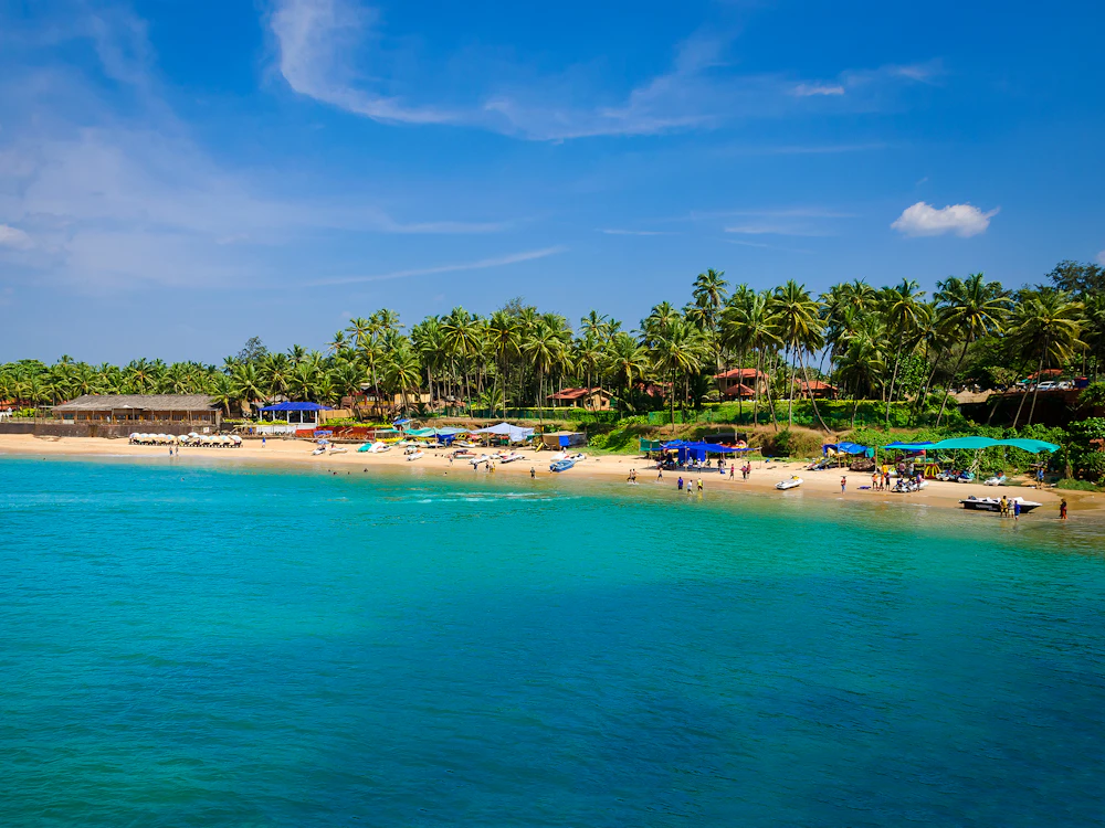 Scenic coastal stretch and palm trees in South India