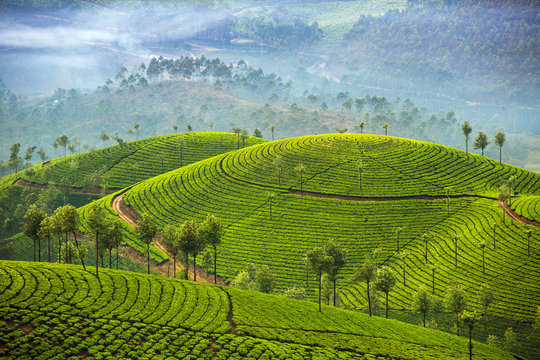 Discover the Magic of Kerala: Perfect Tour Packages for Every Traveler