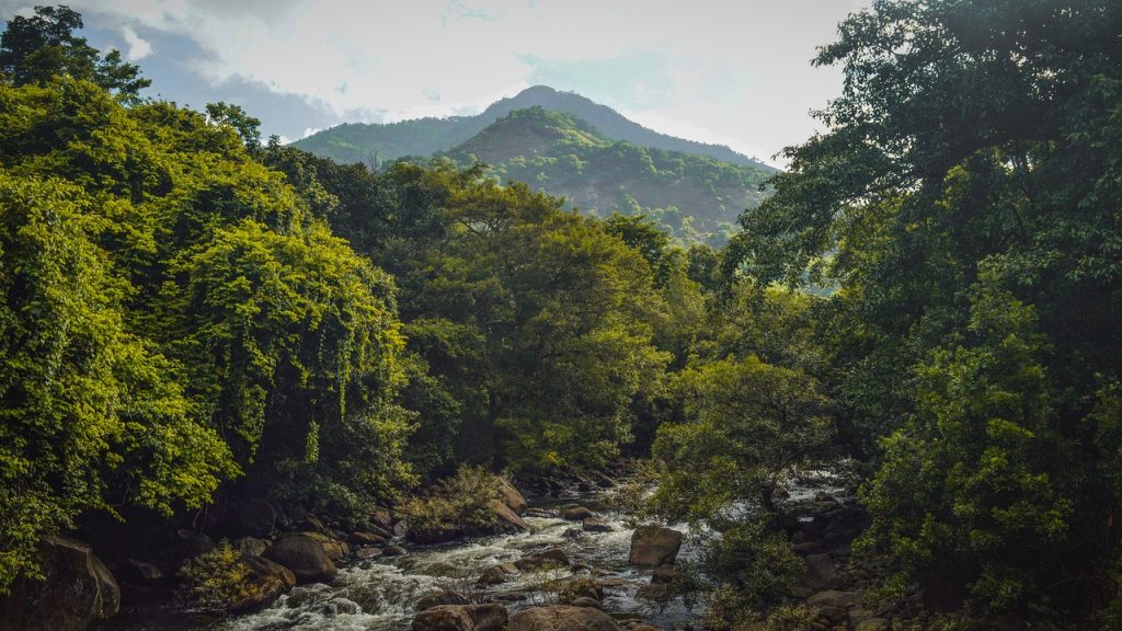 river-6972165_1280