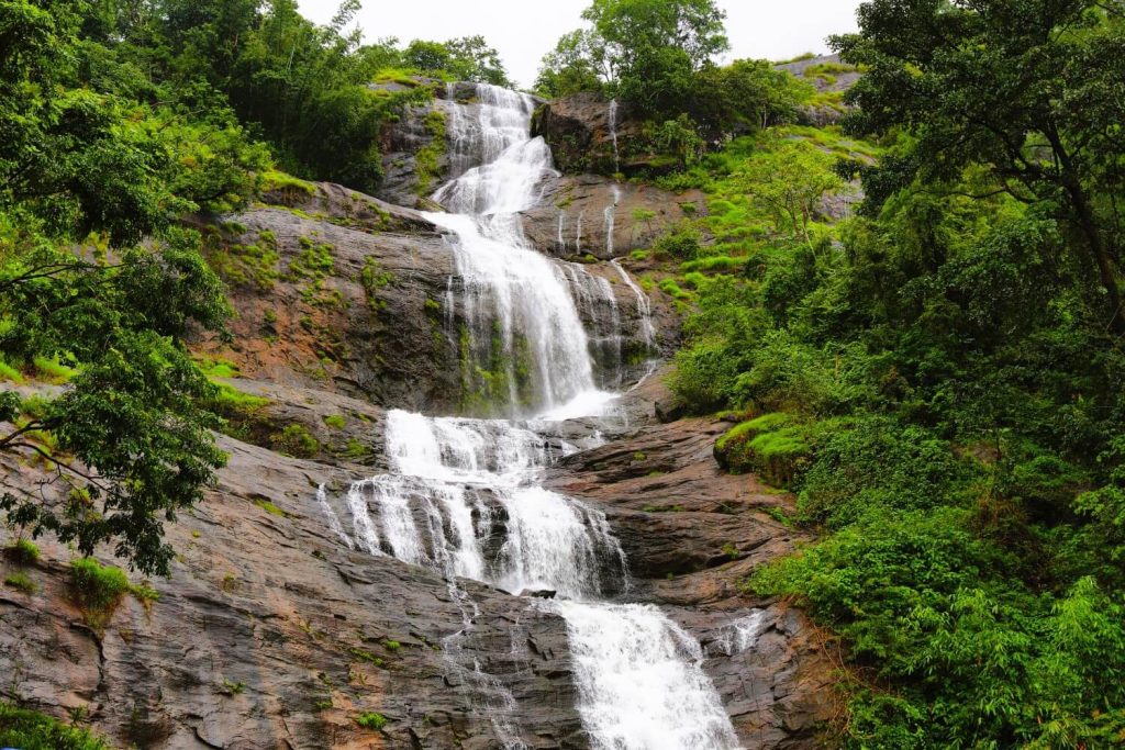 munnar-cheeyappara-falls