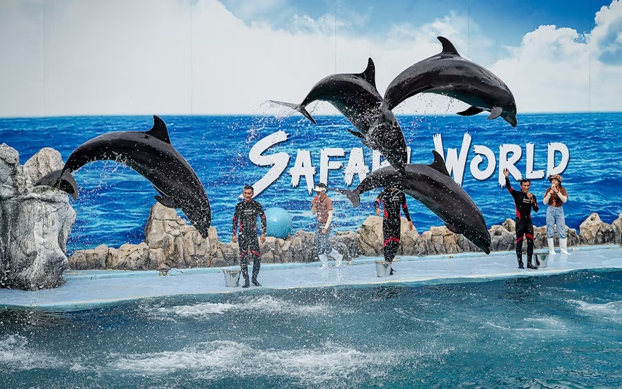 safari world